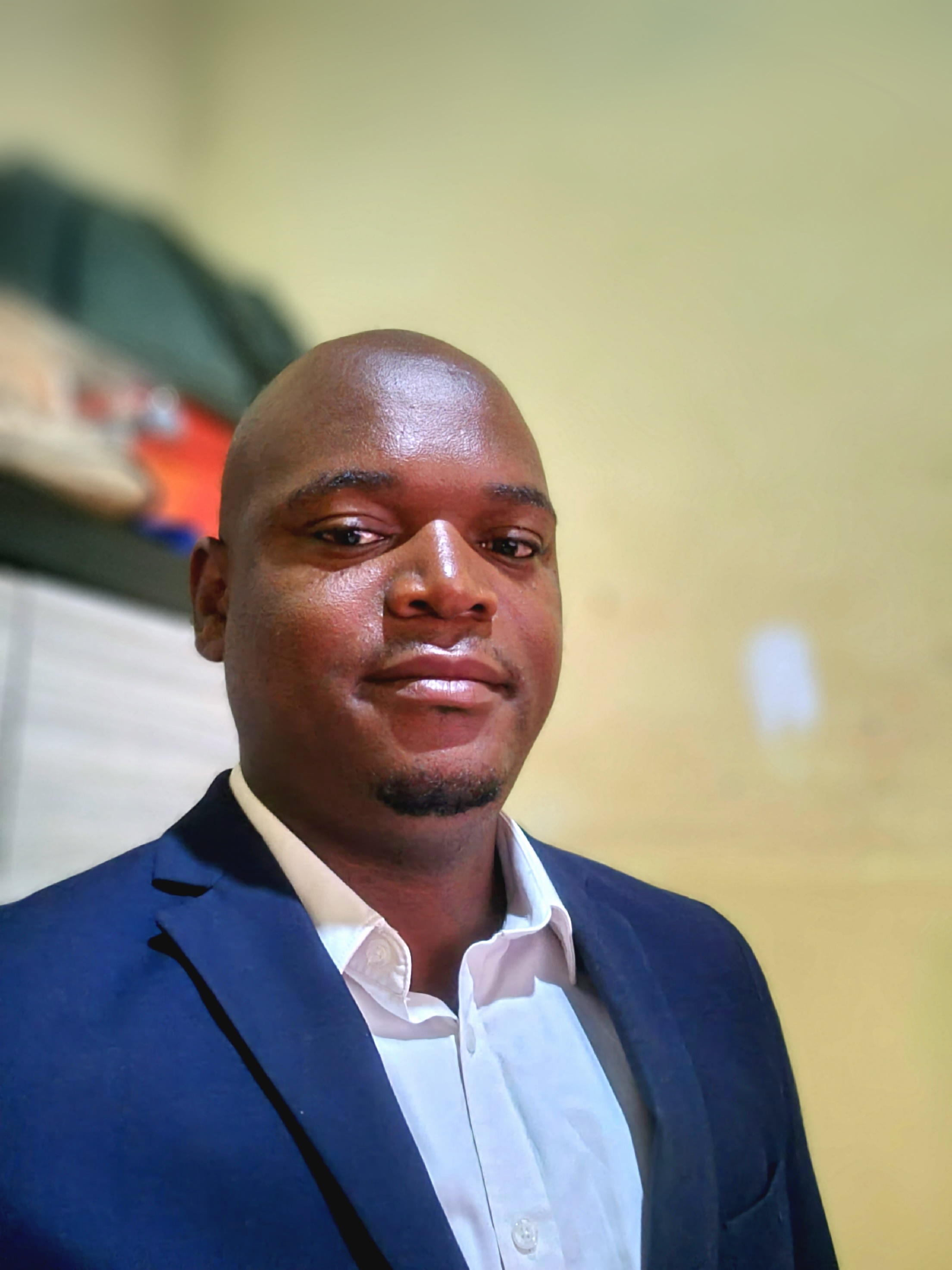 Menard Moyo, contemporary African artist from Zimbabwe 