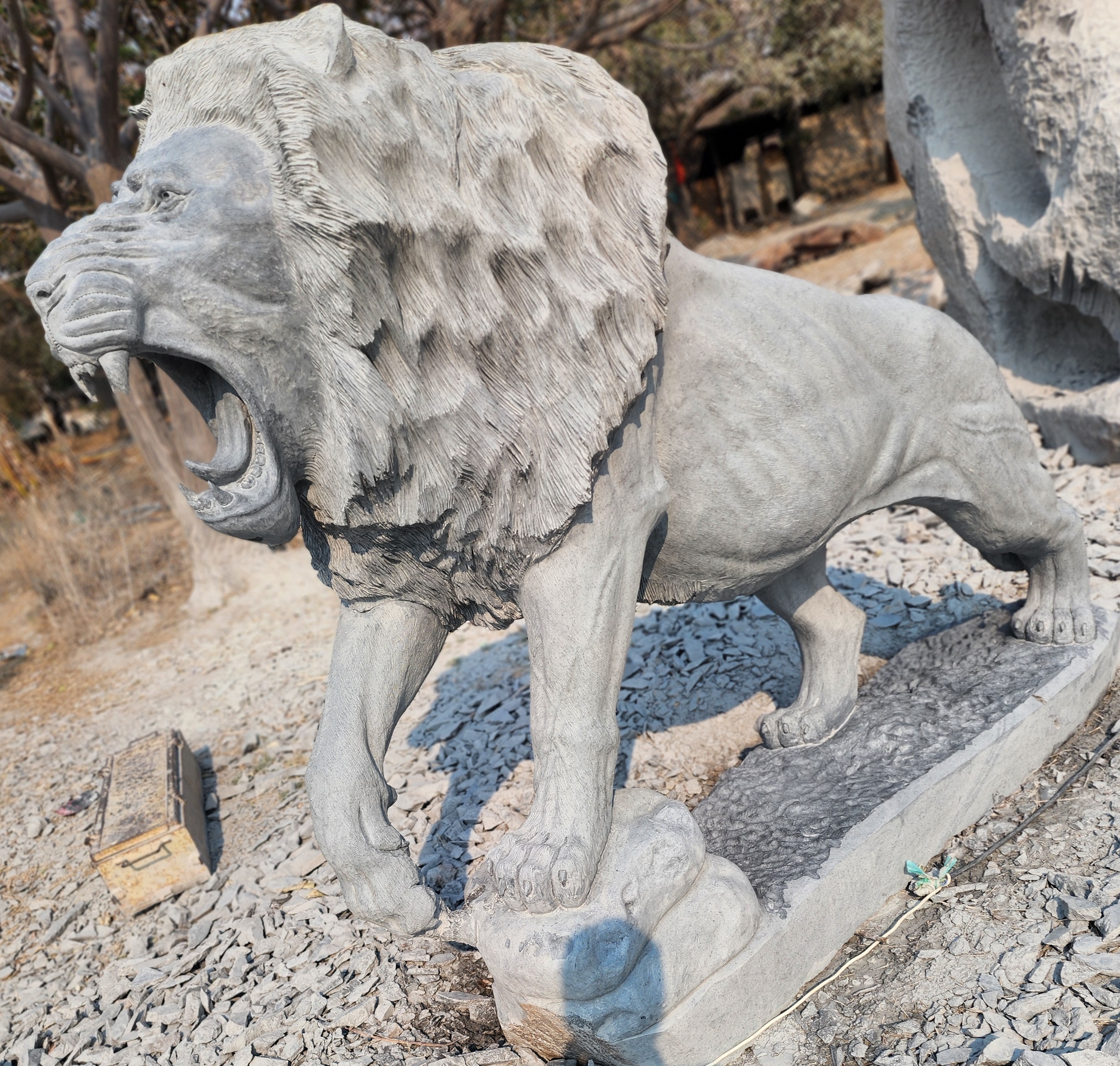 Roar in Stone 